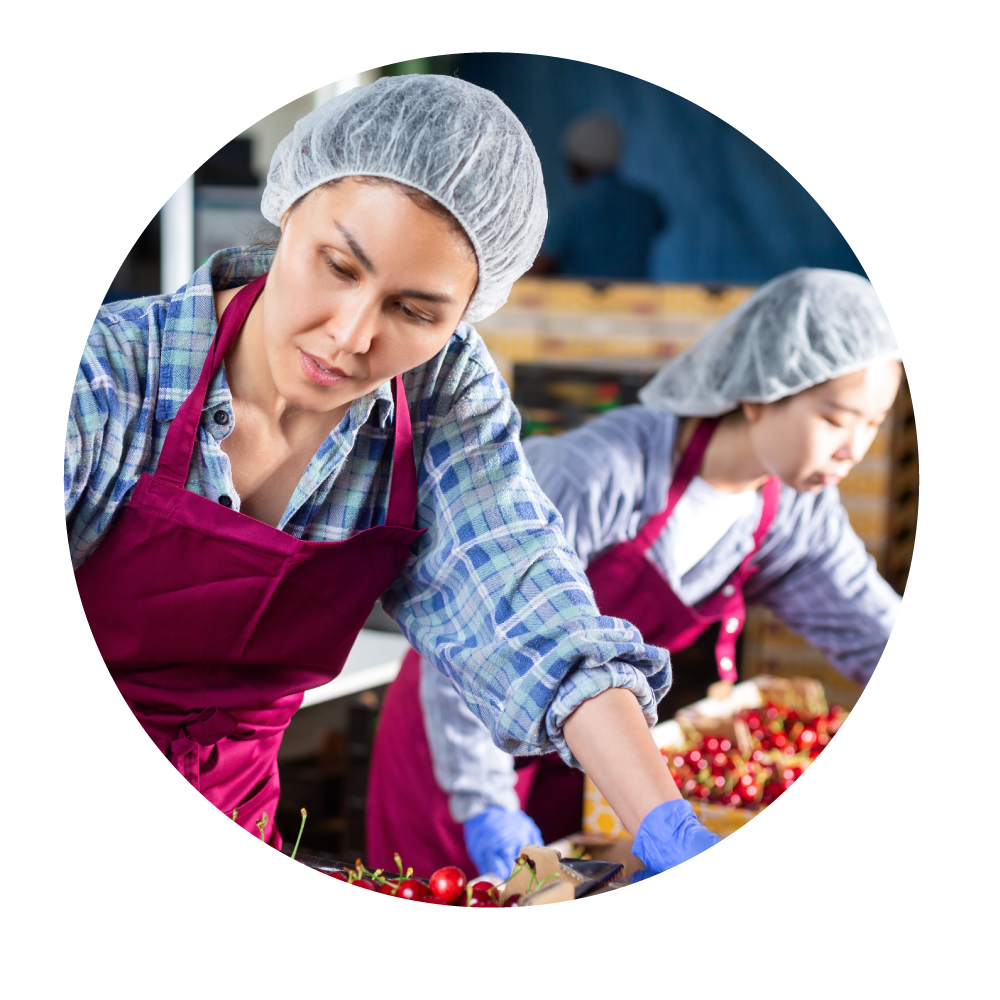 trabajadoras